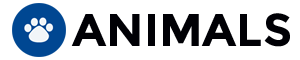 Naripowerr | inspires Stories on Animals, Nature & Entertainment