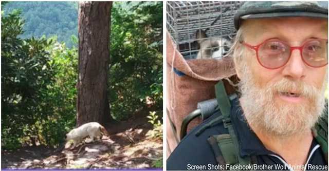 Cat Rescue